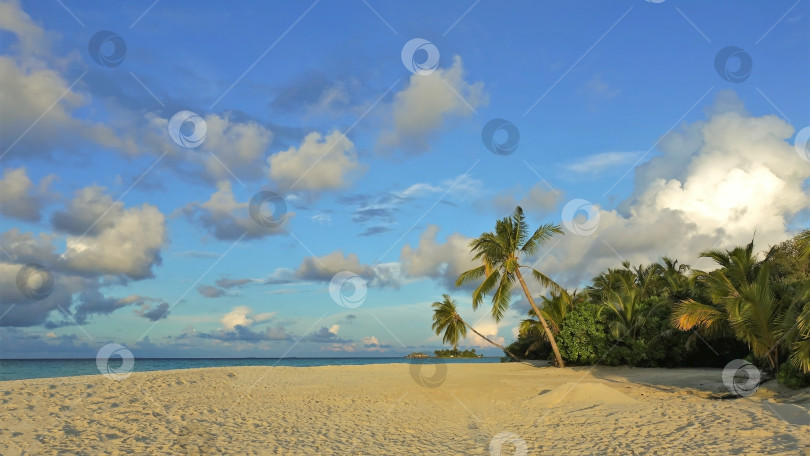 Скачать На широком песчаном пляже пальмы склоняются к аквамариновому океану. = фотосток Ozero