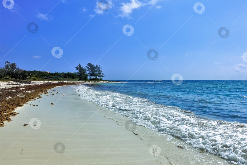 Скачать Пляж на Карибском побережье. фотосток Ozero