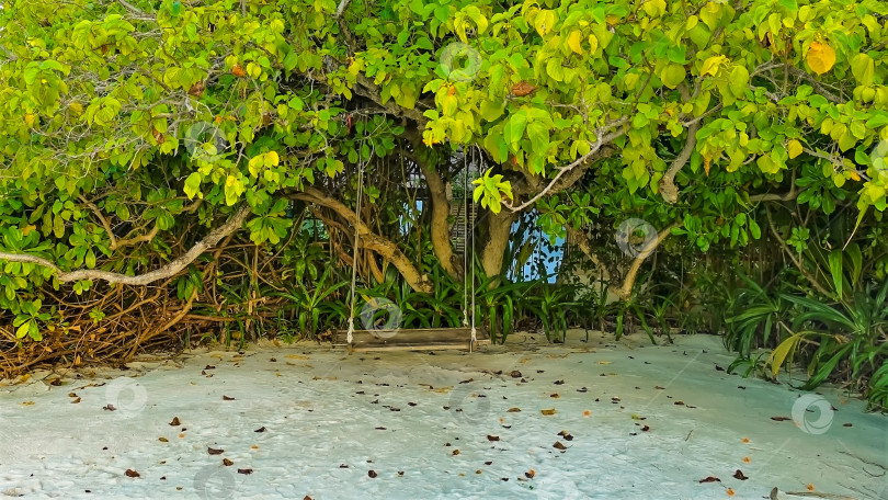Скачать Качели из неокрашенного дерева подвешены на веревках среди зеленой тропической растительности. фотосток Ozero