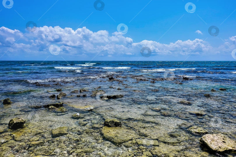 Скачать Карибское море в солнечный летний день. фотосток Ozero