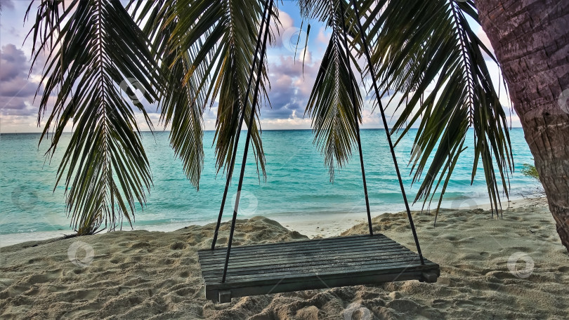Скачать Качели подвешены к пальме на пляже. фотосток Ozero