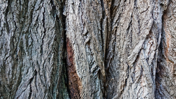[object Object] undefined