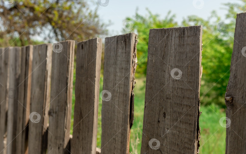 Скачать Деревянный забор крупным планом в солнечный летний день фотосток Ozero