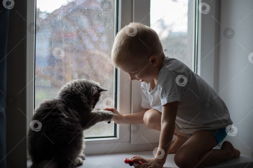 Скачать Ребенок дома сидит на окне с серой кошкой.Ребенок играет с кошкой. Серая кошка, серые тона. Любовь к животным. фотосток Ozero