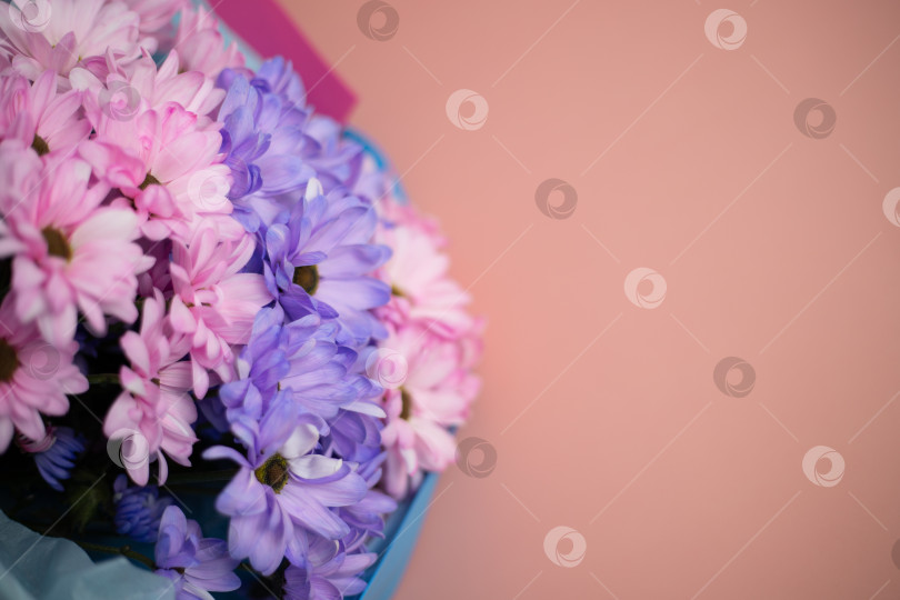 Скачать Букет из розовых и фиолетовых цветов на розовом фоне с местом для текста. Баннер фотосток Ozero
