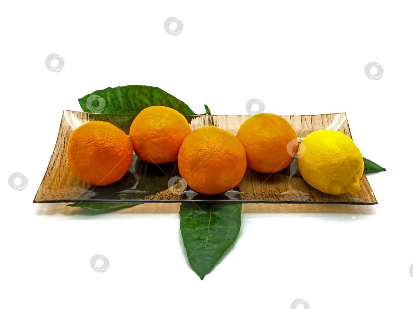 Скачать Четыре мандарина и лимон лежат на прямоугольном стеклянном блюде коричневого цвета фотосток Ozero