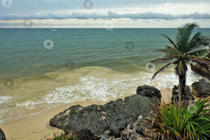 Скачать Пляж на Атлантическом побережье. Волны пенятся и смешиваются с песком. фотосток Ozero