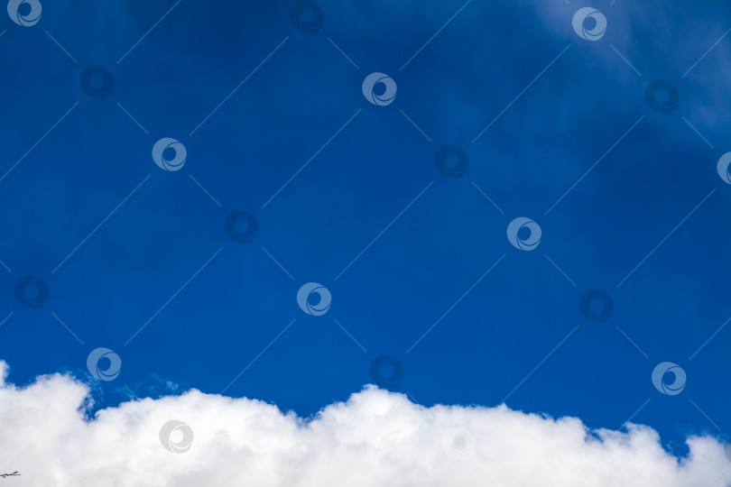 Скачать Белые перистые облака на фоне голубого неба фотосток Ozero