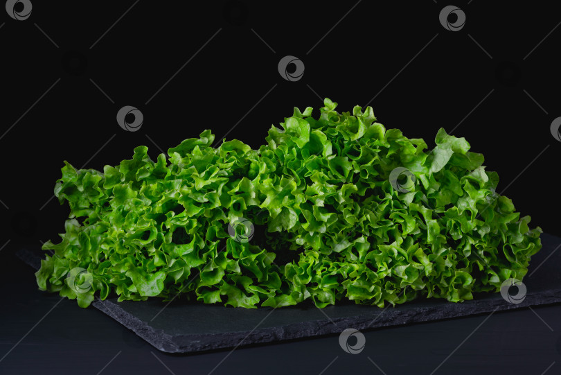 Скачать Органический свежий зеленый салат на черном фоне фотосток Ozero