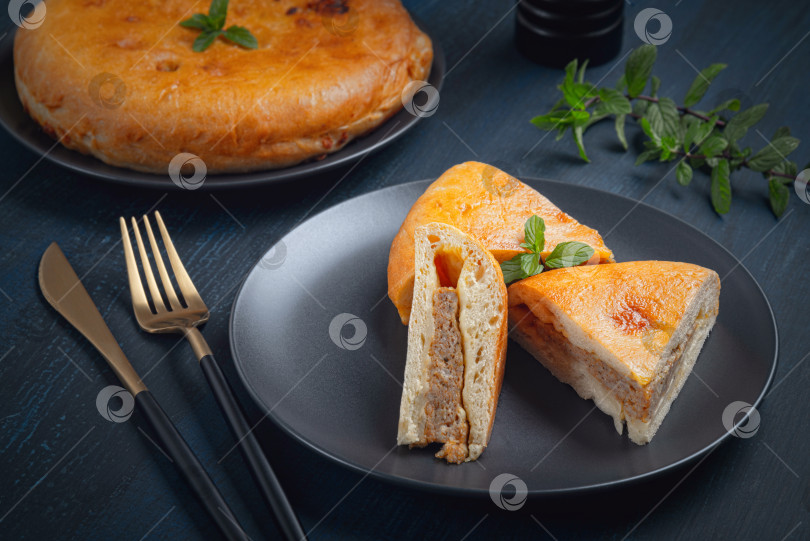 Скачать Пирог с курицей в тарелке на деревянном столе. фотосток Ozero
