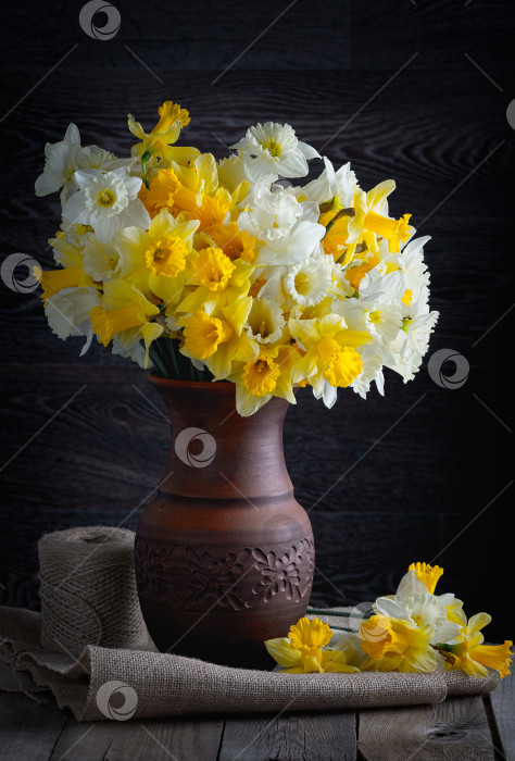 Скачать Свежие весенние ярко-желтые цветы нарциссов в глиняной вазе на d фотосток Ozero