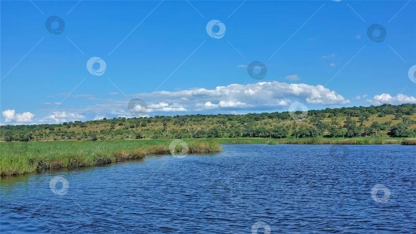 Скачать Голубая спокойная река. Берега заросли зеленой травой. фотосток Ozero