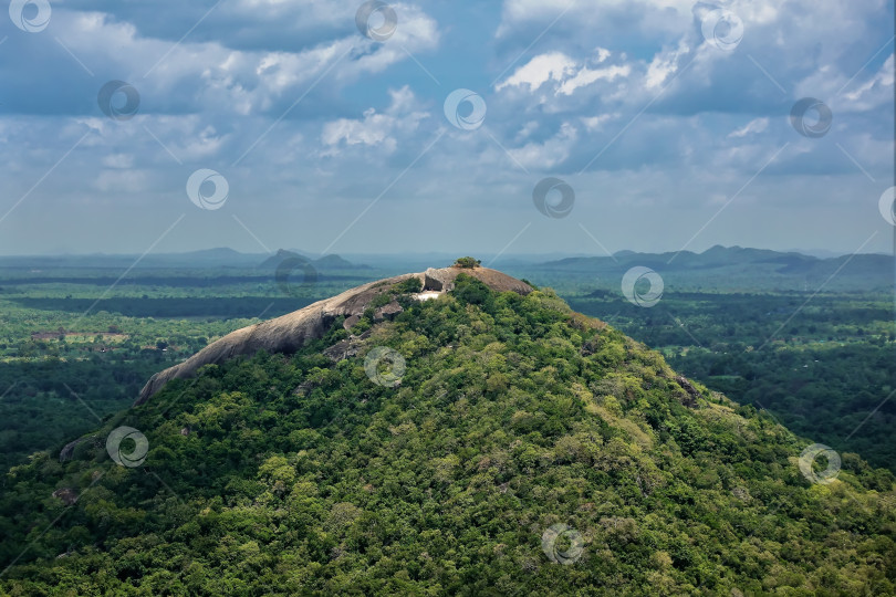 Скачать Панорама джунглей Шри-Ланки сверху. фотосток Ozero