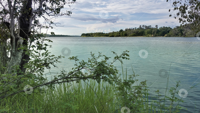 Скачать На берегах реки растут деревья и зеленая трава. фотосток Ozero