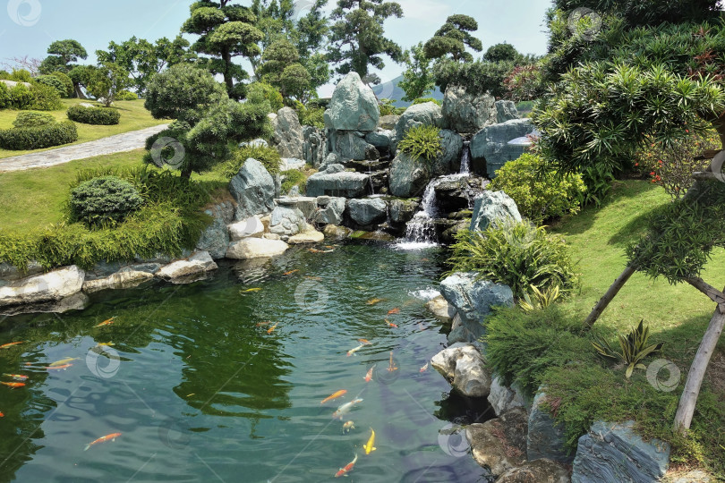 Скачать Уголок парка в японском стиле. Разноцветные рыбки плавают в реке. фотосток Ozero