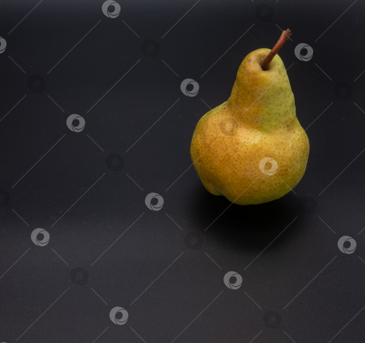 Скачать Спелая желтая груша крупным планом в правом верхнем углу. фотосток Ozero