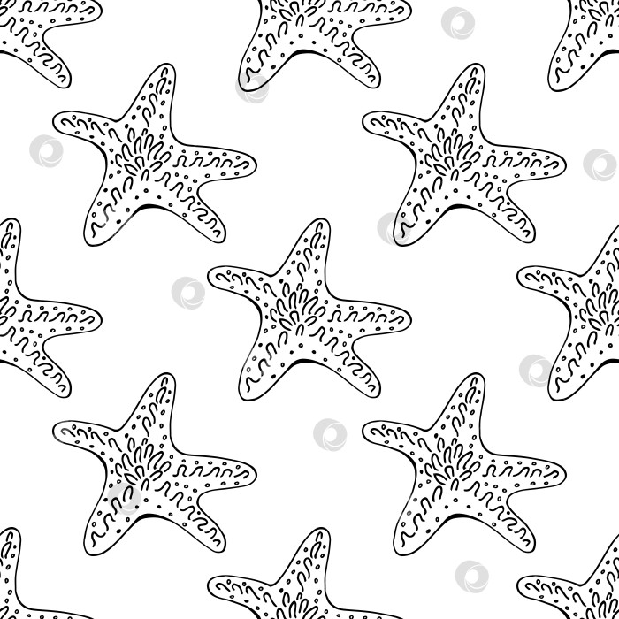 Скачать Бесшовный узор с черно-белой милой морской звездой на белом фоне. Векторное изображение. фотосток Ozero