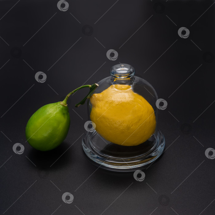 Скачать Большой желтый лимон находится в герметичном контейнере из прозрачного стекла. фотосток Ozero