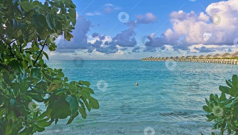 Скачать Утро на Мальдивах. Бирюзовый океан спокоен и прозрачен. фотосток Ozero