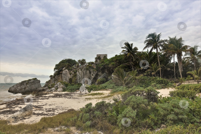 Скачать Пляж на Карибском побережье. Небольшая песчаная площадка, окруженная скалами и пальмами фотосток Ozero