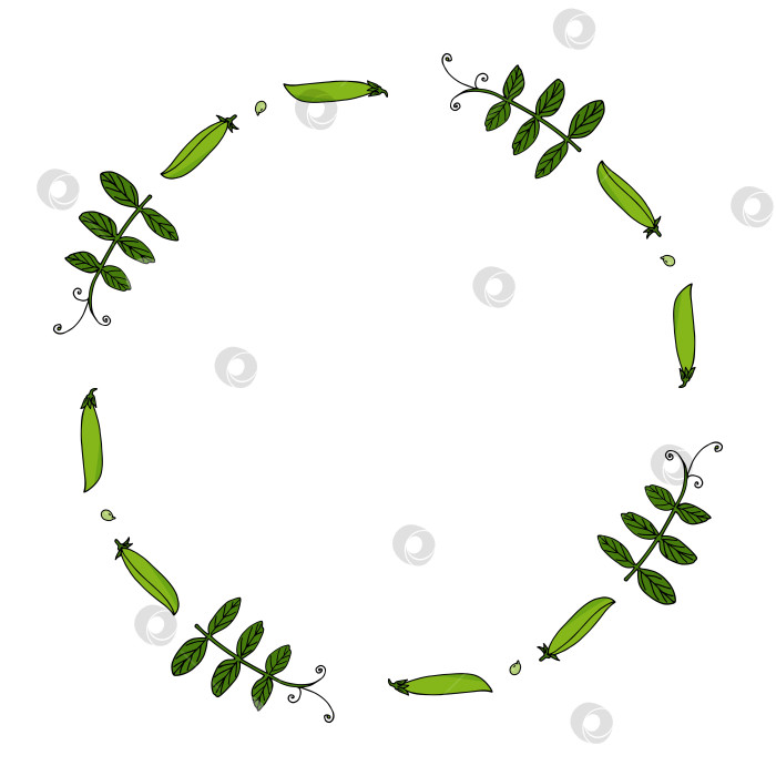 Скачать Круглая рамка с милым зеленым горошком на белом фоне. Векторное изображение. фотосток Ozero