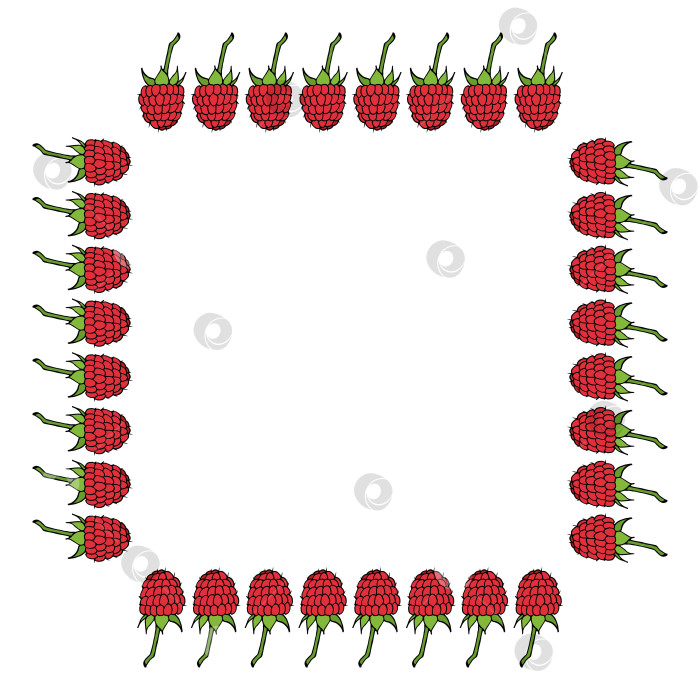 Скачать Квадратная рамка с малиной на белом фоне. Векторное изображение. фотосток Ozero