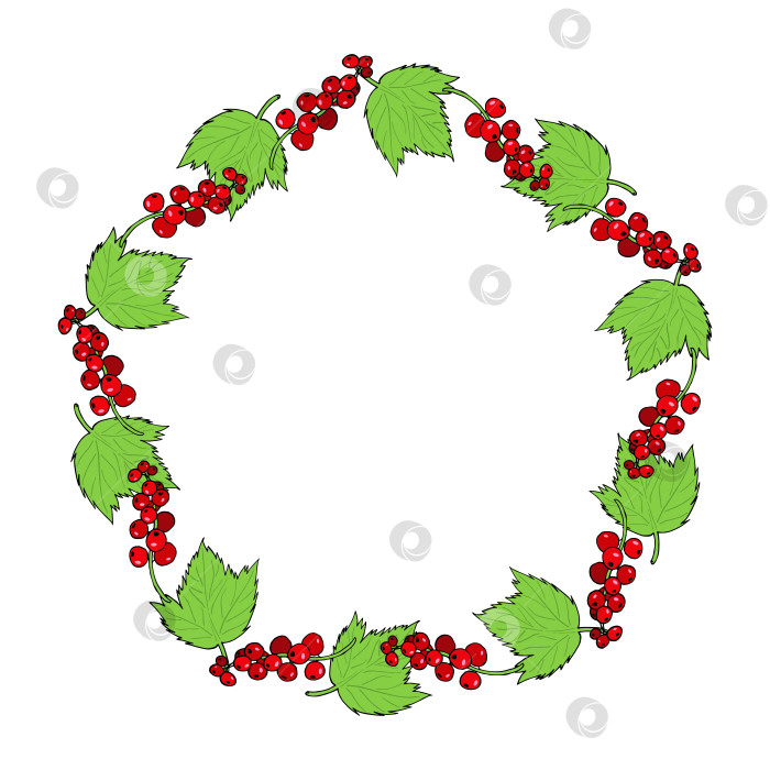 Скачать Круглая рамка с красной смородиной и листьями на белом фоне. Векторное изображение. фотосток Ozero