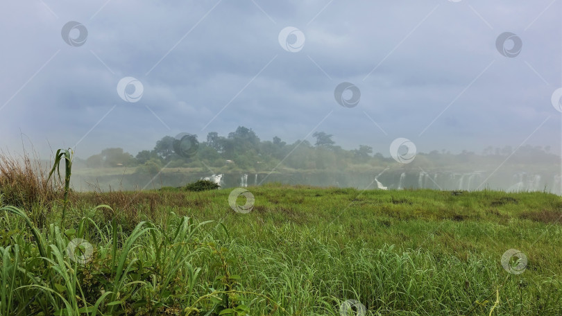 Скачать На переднем плане - ярко-зеленая трава с каплями дождя. фотосток Ozero