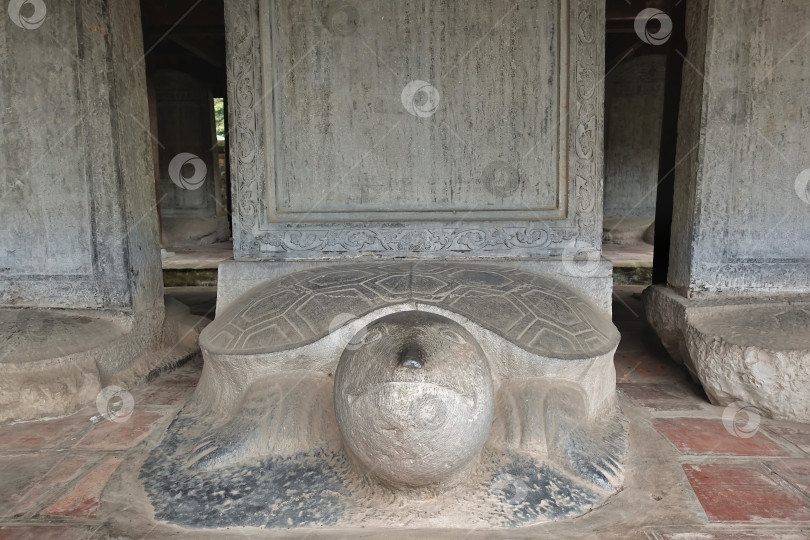 Скачать Крупный план каменной стелы в виде черепахи в древнем храме литературы. фотосток Ozero