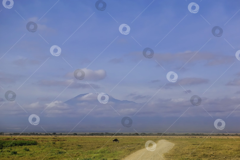 Скачать Грунтовая дорога ведет вперед, к горе Килиманджаро. фотосток Ozero