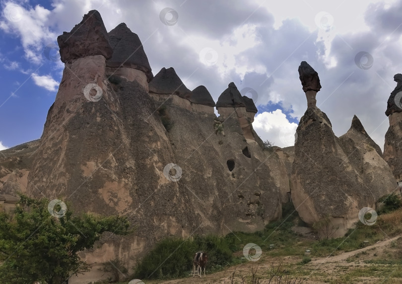 Скачать Скалы странной формы с вершинами в форме грибовидных шляпок выстроились в ряд на фоне облачного неба. фотосток Ozero
