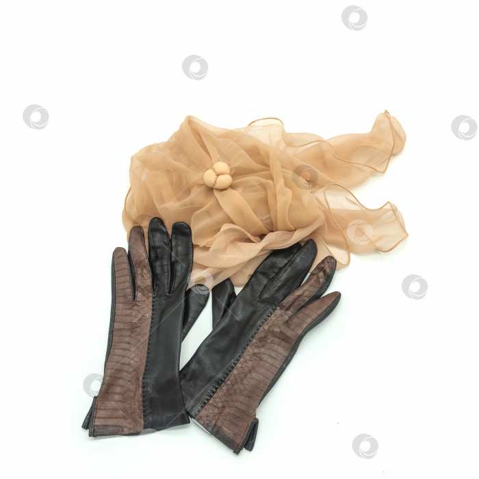 Скачать Осенние аксессуары. Пара коричневых дамских перчаток из натуральной кожи фотосток Ozero