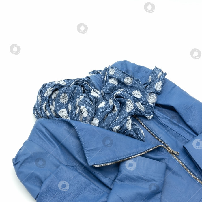 Скачать Женская куртка из натуральной мягкой кожи синего цвета. фотосток Ozero