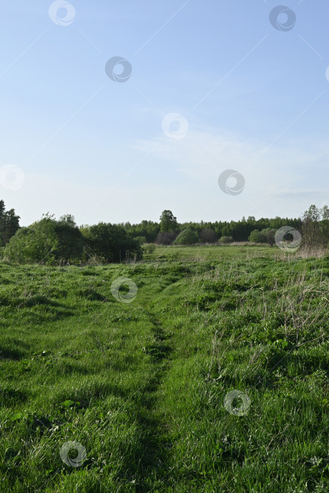 Скачать Тропинка к реке фотосток Ozero