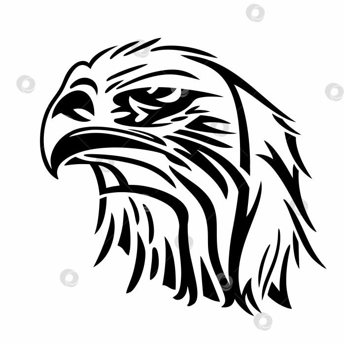 Скачать Орлиная голова. Дизайн логотипа Eagle. Эмблема с векторной иллюстрацией. Векто фотосток Ozero