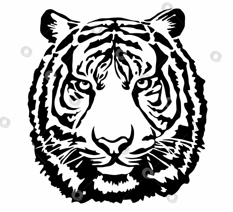 Скачать Векторная иллюстрация, выделенная на белом фоне. Голова тигра. Черный и белый фотосток Ozero