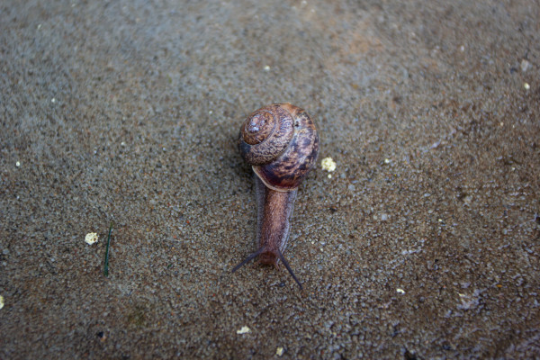 [object Object] undefined