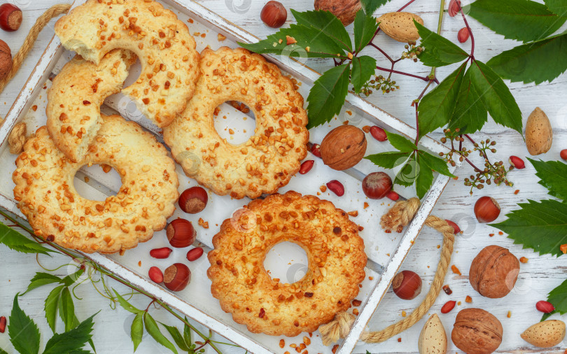 Скачать Домашнее печенье. Печенье с орехами (фундук, грецкие орехи, миндаль фотосток Ozero