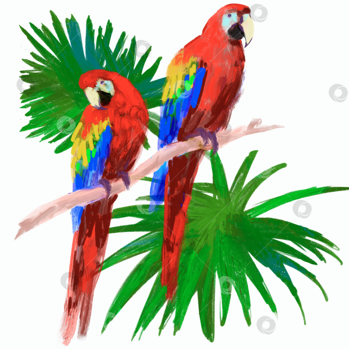 Скачать Иллюстрация с попугаями фотосток Ozero