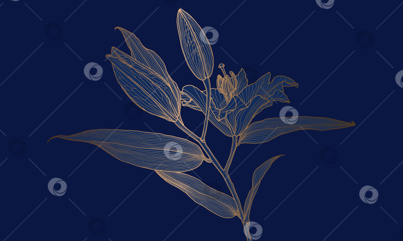Скачать Роскошный золотой металлический цветок лилии в стиле ар-деко с линейным рисунком на темно-синем фоне фотосток Ozero