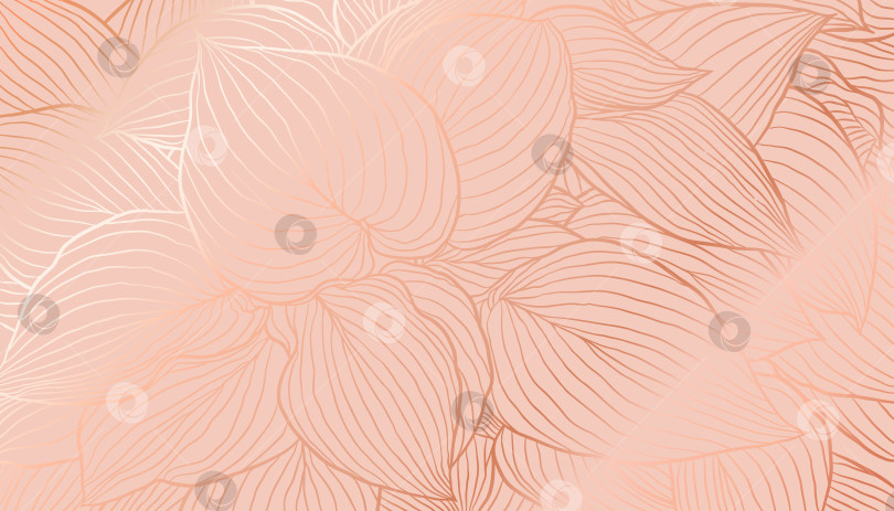 Скачать золотистые фольгированные листья хосты в виде нарисованных от руки линий на спокойном коралловом фоне фотосток Ozero