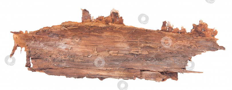 Скачать кусок древесной коры. Изолированный на белом фоне фотосток Ozero