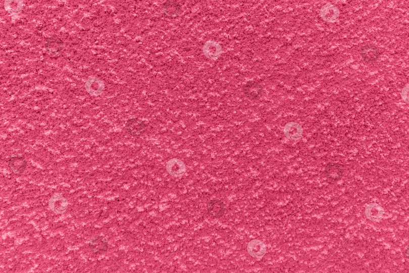 Скачать Живой пурпурно-розовый фон оштукатуренной стены. фотосток Ozero