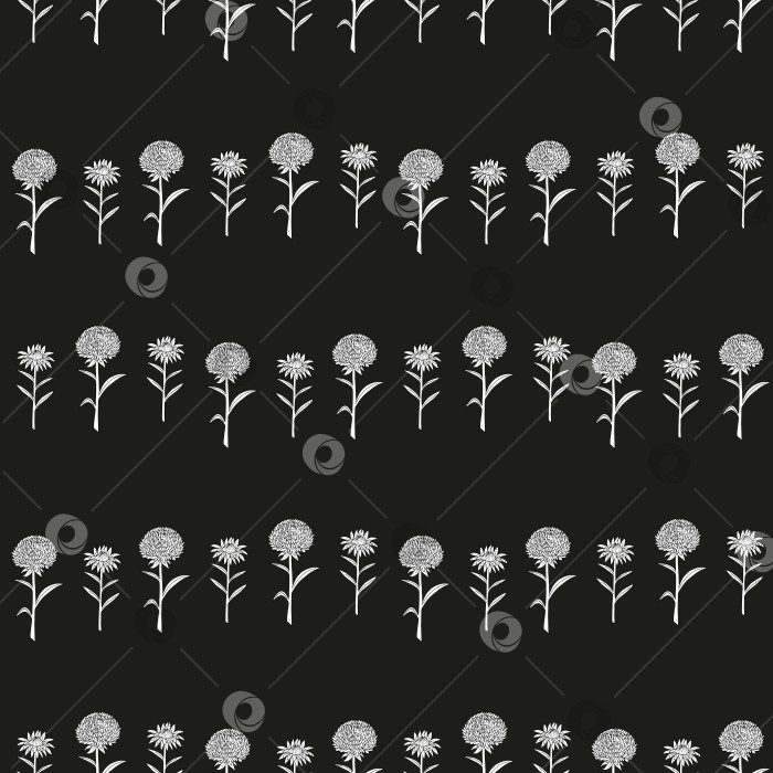 Скачать Бесшовный узор с черно-белыми красивыми цветами астры на черном фоне. Векторное изображение. Книжка-раскраска. фотосток Ozero