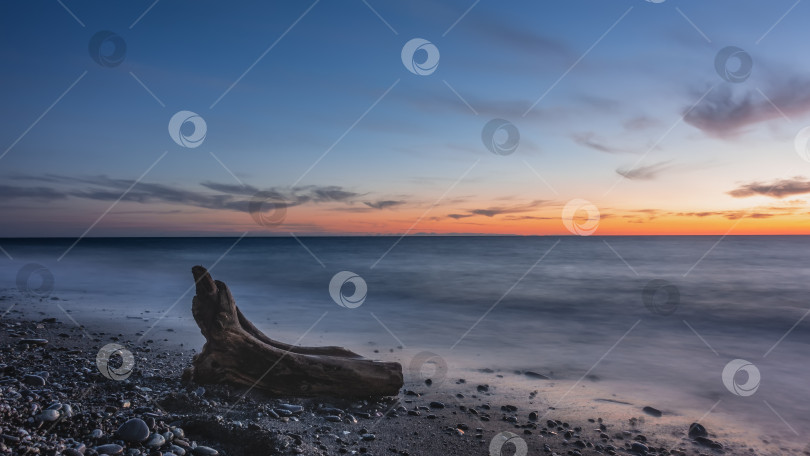 Скачать Вечерние сумерки на море.  Старое выветренное бревно лежит на галечном пляже. фотосток Ozero