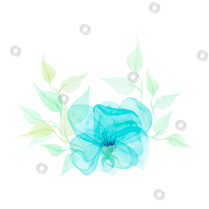 Скачать Акварельный рисунок полупрозрачной прозрачной зеленой и светло-коричневой цветочной ветки с листьями на белом фоне. Красивая картинка для иллюстрации, наклеек, открыток, скрапбукинга фотосток Ozero