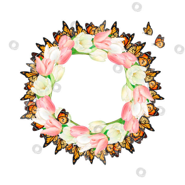 Скачать Нарисованный акварелью венок из красивых розовых и белых цветов тюльпана и бабочек на белом фоне. Идеально подходит для нанесения наклеек, логотипов, салфеток, текстильной печати фотосток Ozero