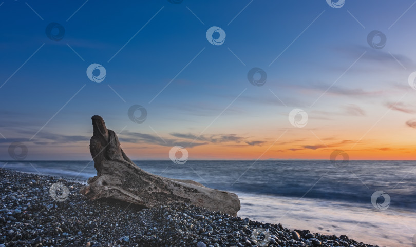 Скачать Старое, обветренное, живописное бревно лежит на галечном пляже. фотосток Ozero