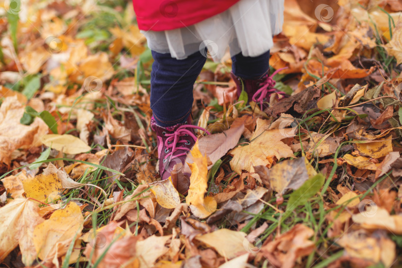 Скачать Маленькая девочка стоящая в осенних листьях. фотосток Ozero