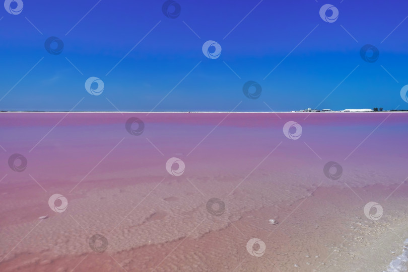 Скачать Удивительное соленое озеро в Мексике. Сквозь прозрачную, ярко-розовую воду видны отложения солей. фотосток Ozero